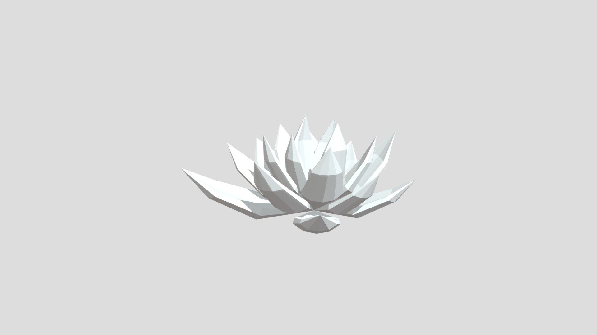 Aloe plant from Poly by Google