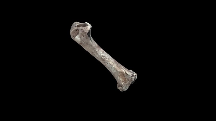 L10- Rock-2023- Clean_tex 3D Model