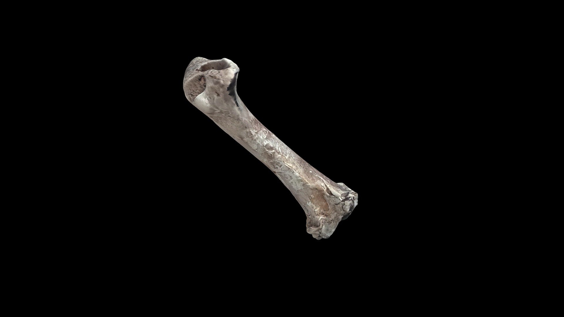 L10- Rock-2023- Clean_tex - 3D model by Sarah E. Seeley (@SarahESeeley ...