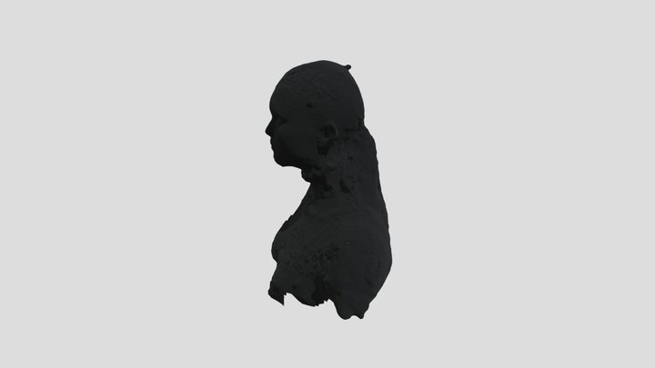 model 3D Model