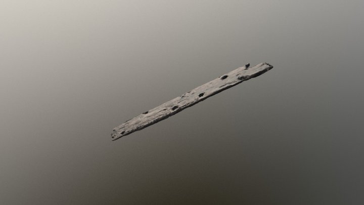 Hanna Park Timber 5 3D Model