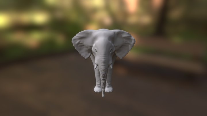 Indian Elephant 3D Model