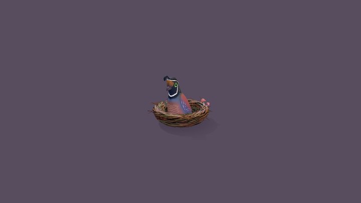 Low-Poly Bird in Nest 3D Model