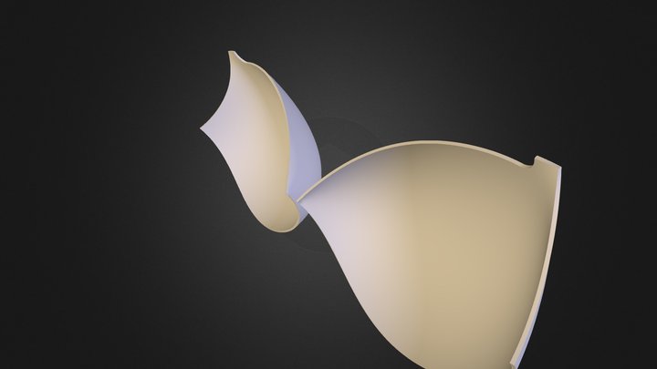 copa_entera6 3D Model