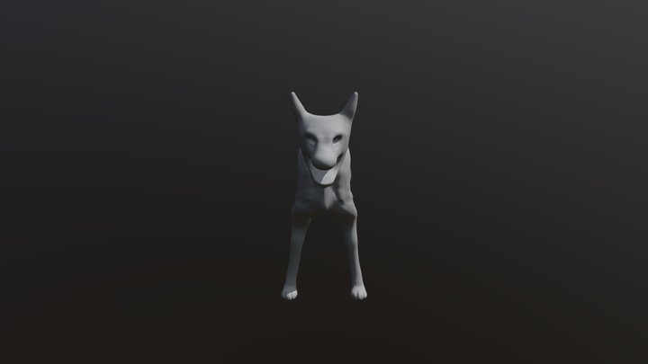 Skinny Dog Anatomy Practice 3D Model