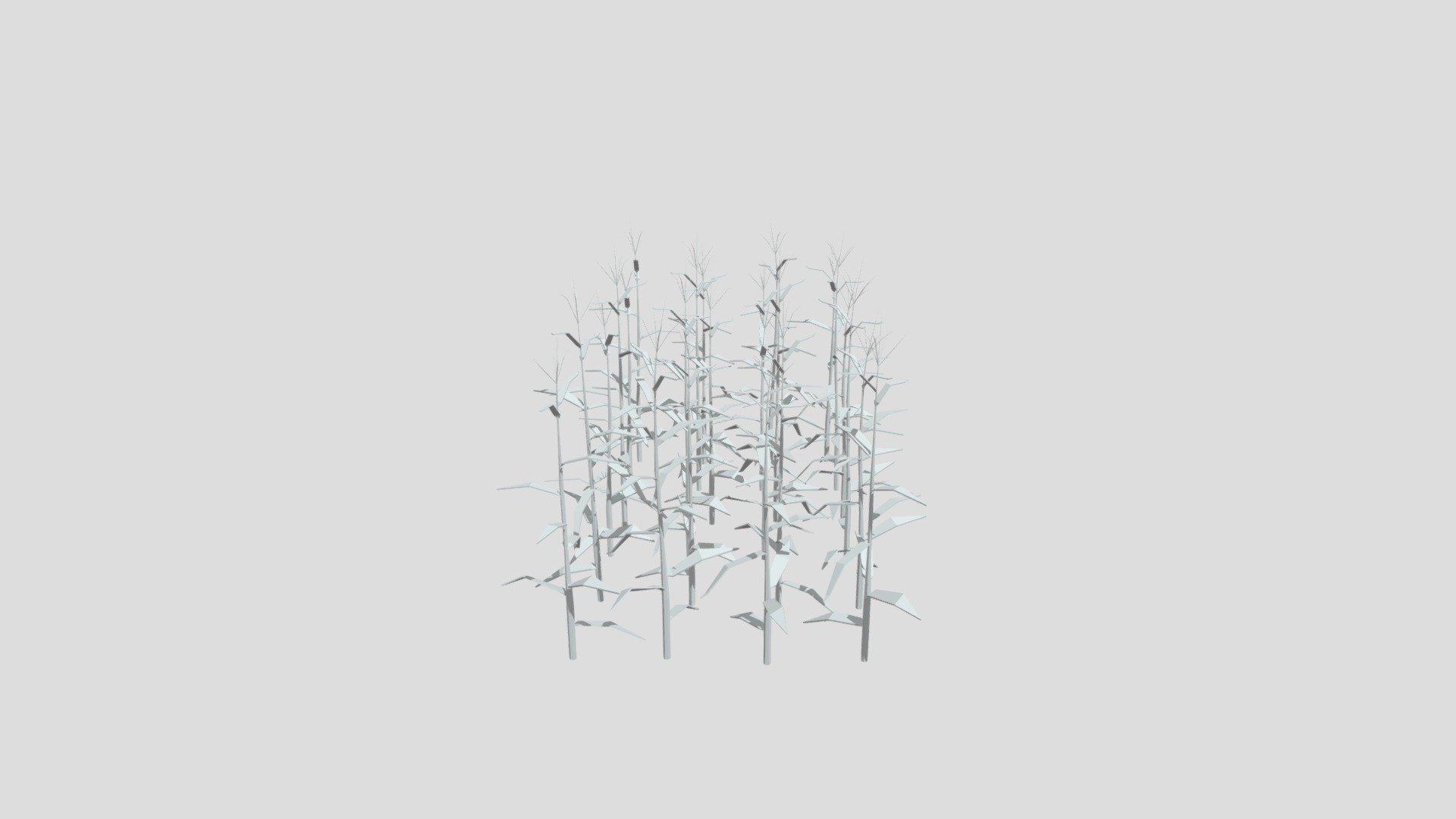 Field of corn from Poly by Google
