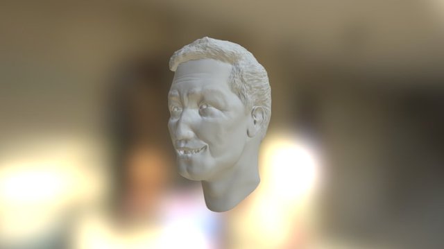 Head-01fi 3D Model