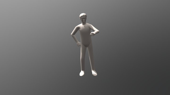 Idle Idle Cycle 3D Model