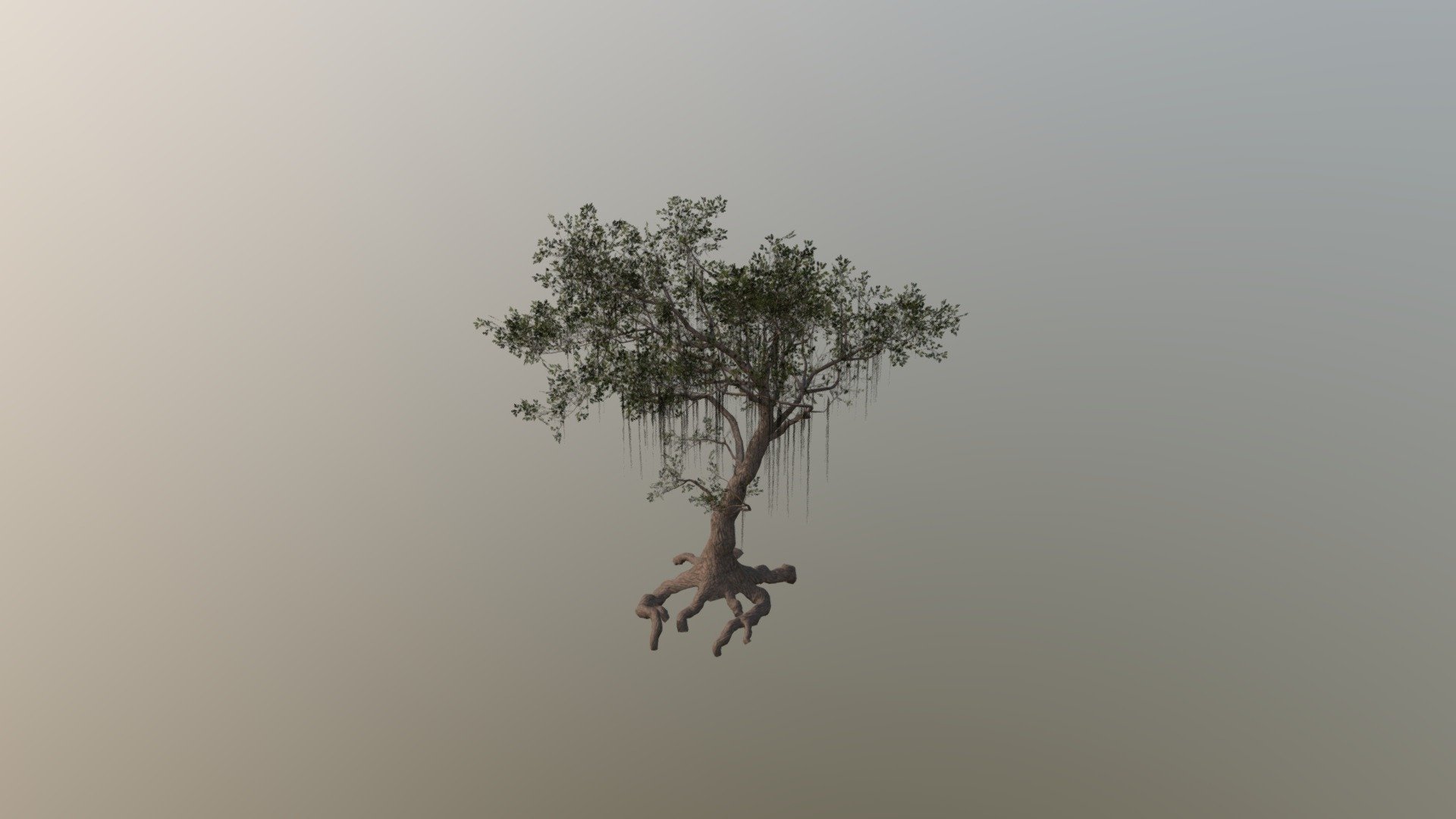 Swamp Tree