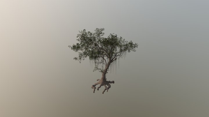 Swamp Tree 3D Model