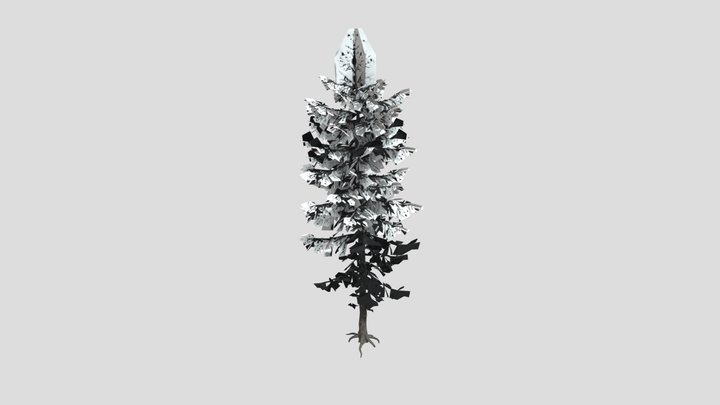 Tree European Larch A1