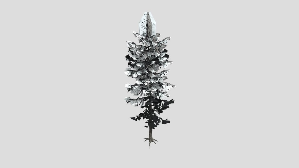 Tree European Larch A1