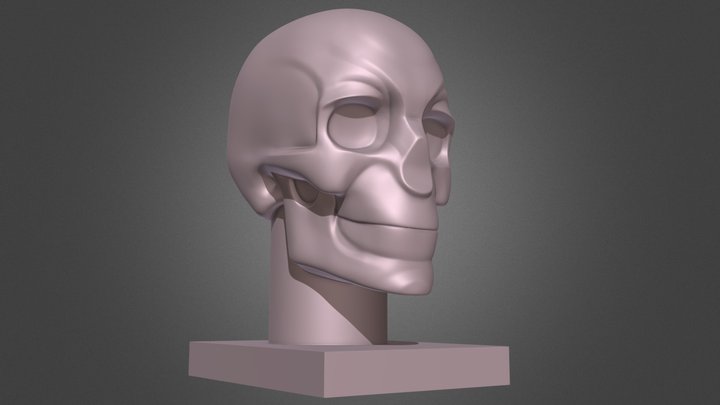 Planar Skull 3D Model