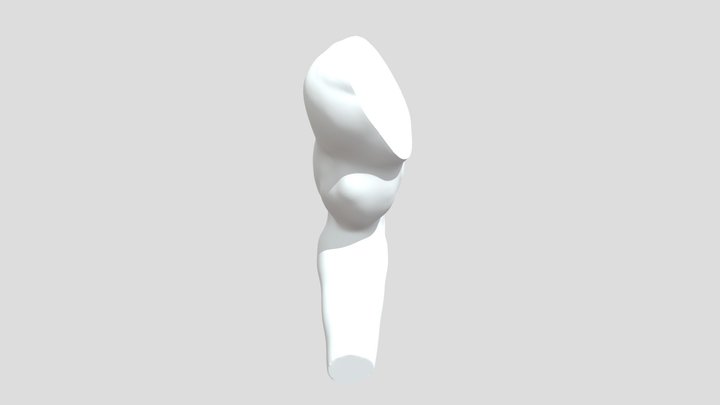 Right_Arm_ Sculpt 3D Model
