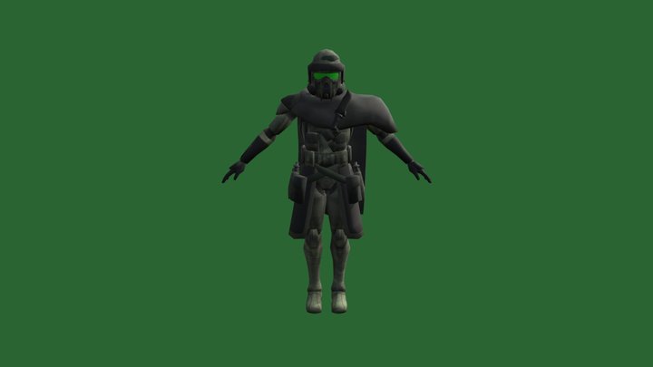 41st Green Company ARF Officer 3D Model