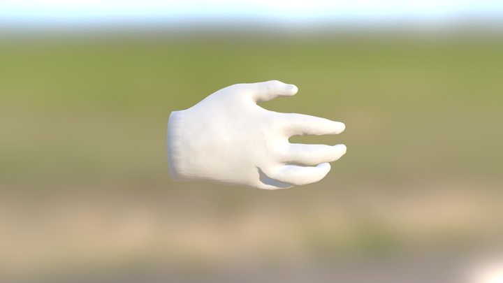 Hand Animation (Co/Labs) 3D Model