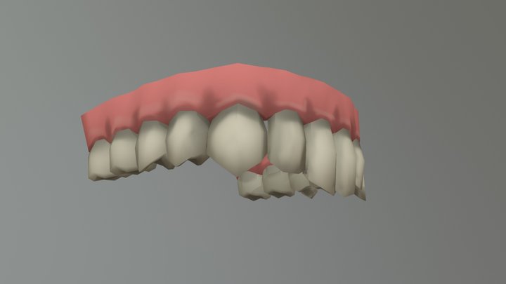 Upper Teeth 3D Model