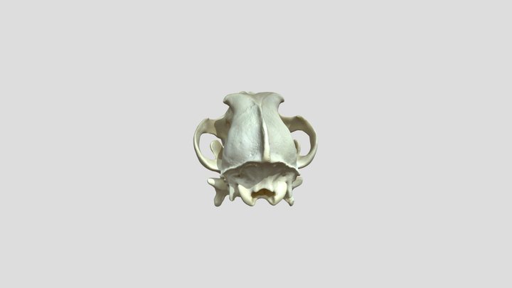 Abound_20260226-1608 3D Model