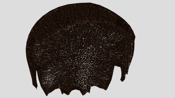 Low poly hair 3D Model