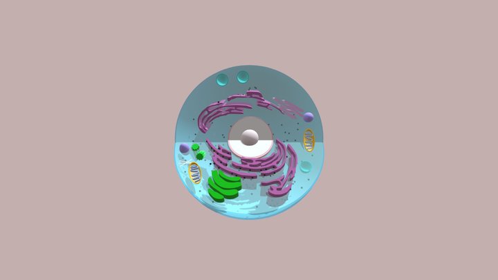 UL8sketch_1 3D Model