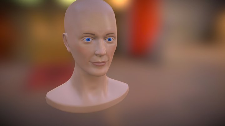 Female Head Practice 3D Model