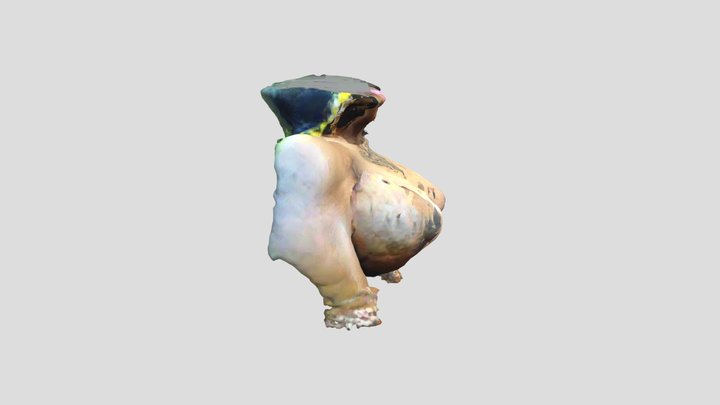 Kay 3D models - Sketchfab