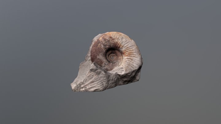 Malmammonit 3D Model