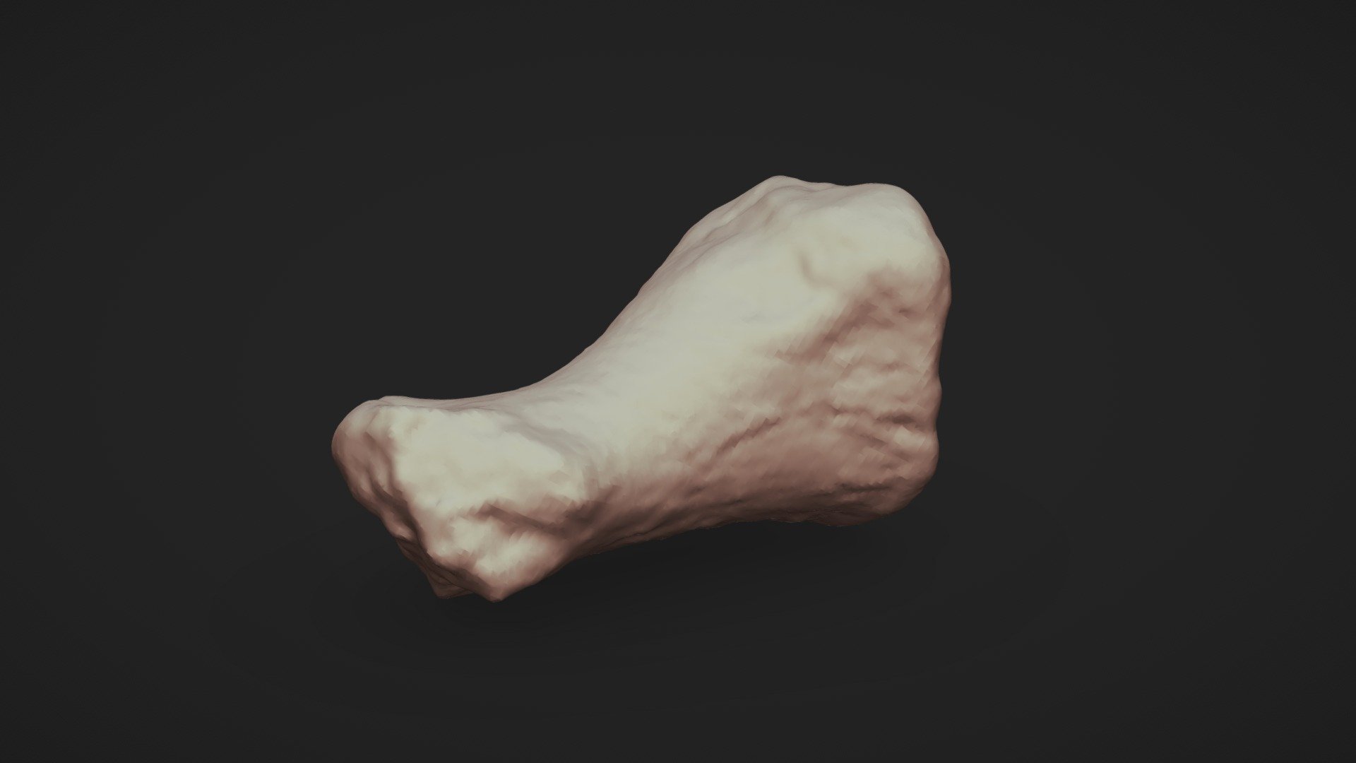Falange de Phorusrhacidae - 3D model by Laboratório de Pesquisas ...