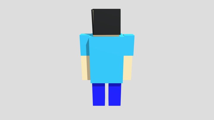 My avatar ( Steve ) 3D Model