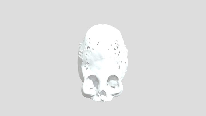 Kac Wrapped 3D Model