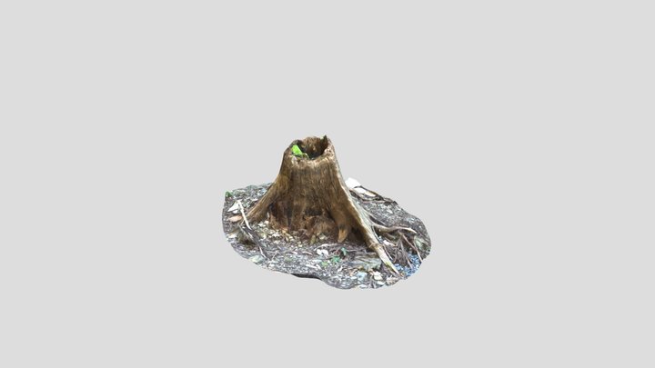 susami9 3D Model