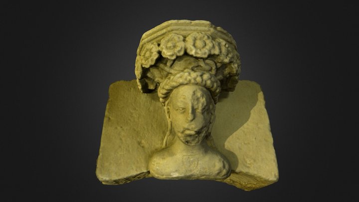 Uppsala - Academia Carolina 2 3D Model