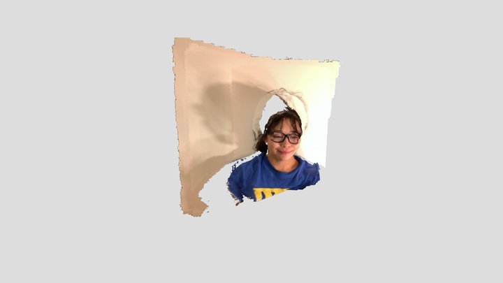 face 3D Model