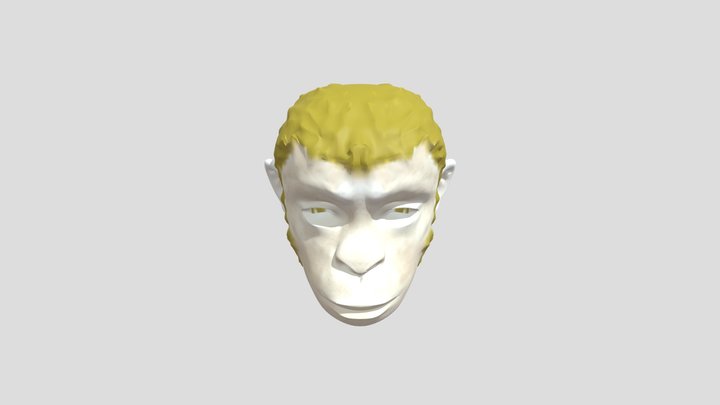 My model 3D Model