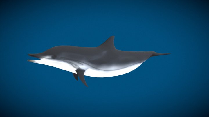 Dolphin - Game ready 3D Model