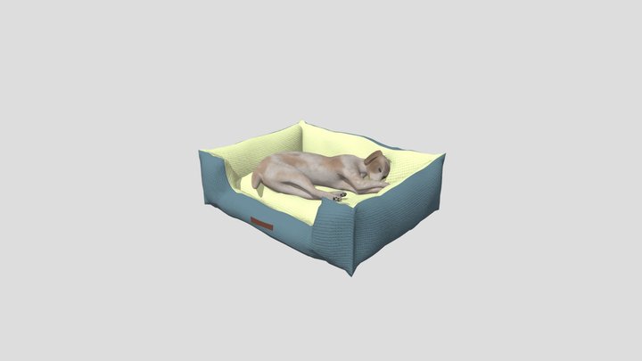 Sleeping Pega dog with bed 3D Model