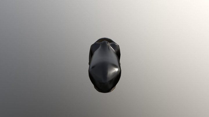 Shoe 3D Model