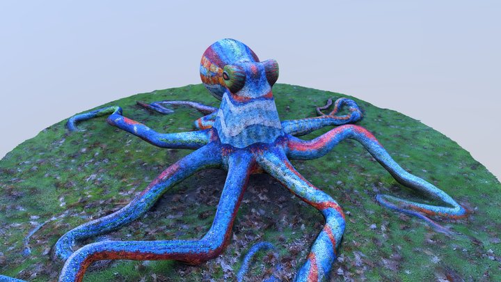 Marialuisa Tadei: Octopus 3D Model