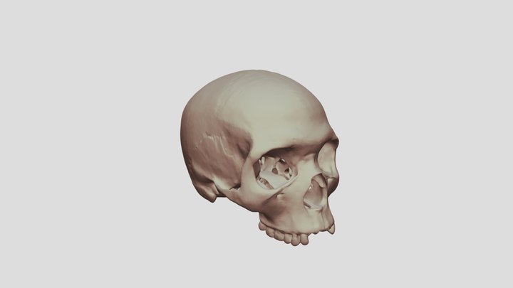 Virtual Modern Human Last Common Ancestor