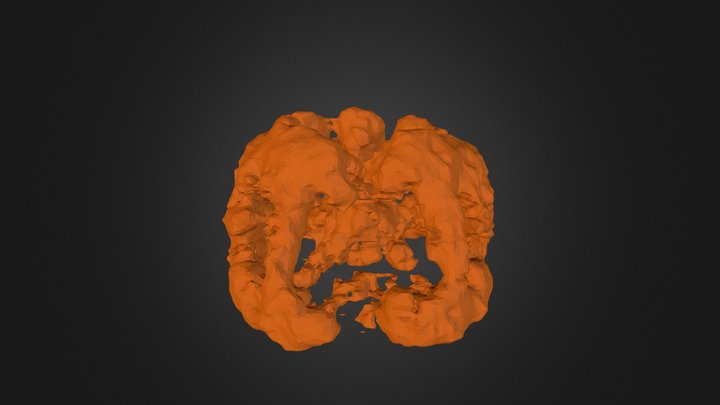 Brain Topic Map 3D Model