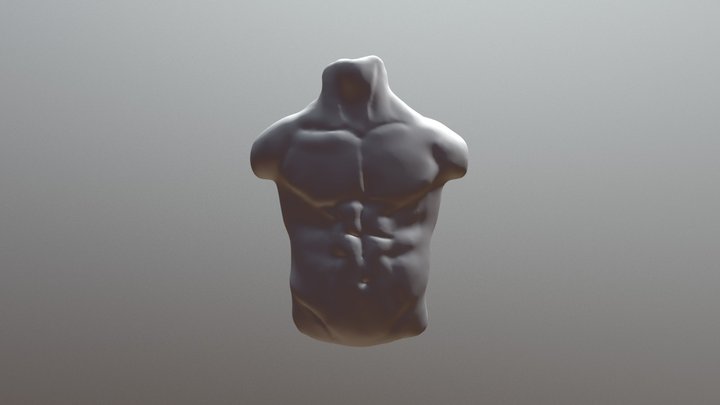 #sculptjanuary18 Day 22 - Male Torso 3D Model
