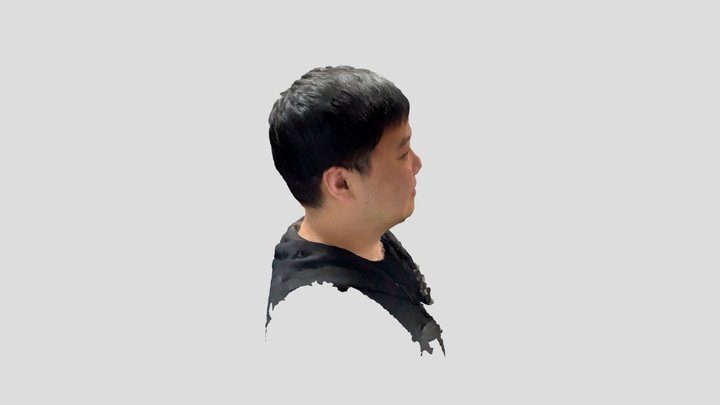 zn1 3D Model