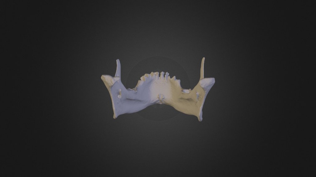 Mandibula HD