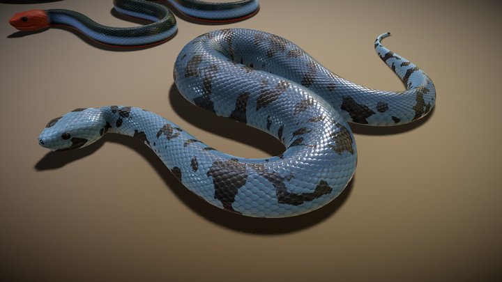 Animated snakes pack 3D Model