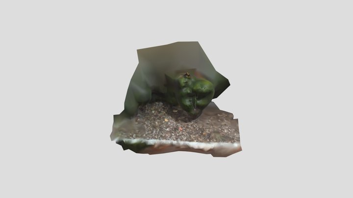ROOM MODEL 3D Model