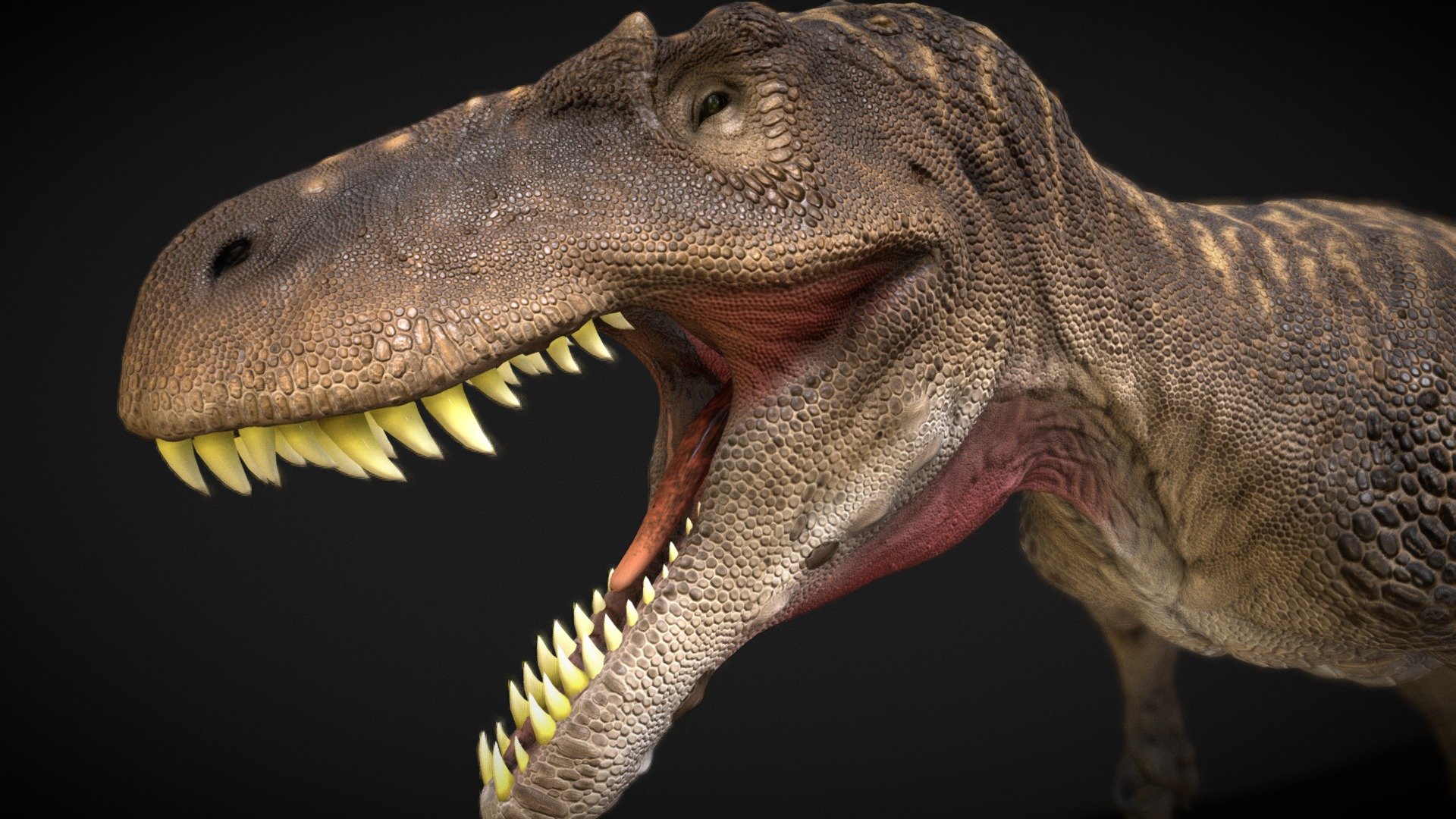 Torvosaurus - Buy Royalty Free 3D model by robertfabiani [88d9292 ...