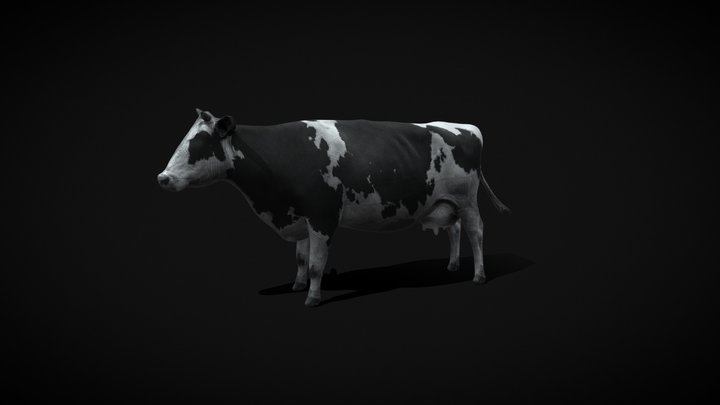 Cow 3D Model