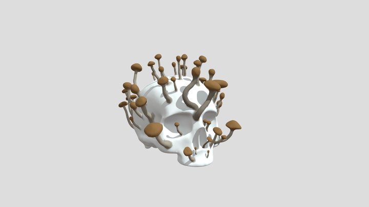Mushroom Skull 3D Model