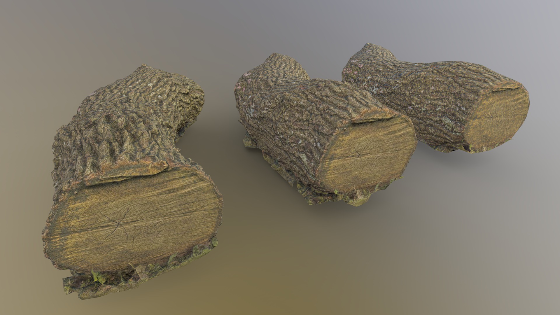 3D model Log01 Photogrammetry - This is a 3D model of the Log01 Photogrammetry. The 3D model is about a group of rocks.