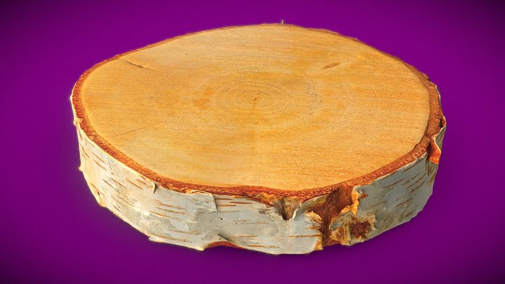 Wooden Slice Stand 3D Scan Rustic Log plate 3D Model